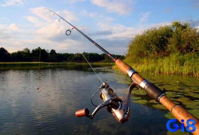 Giải mã giấc mơ thấy câu cá là cơ hội để làm giàu 