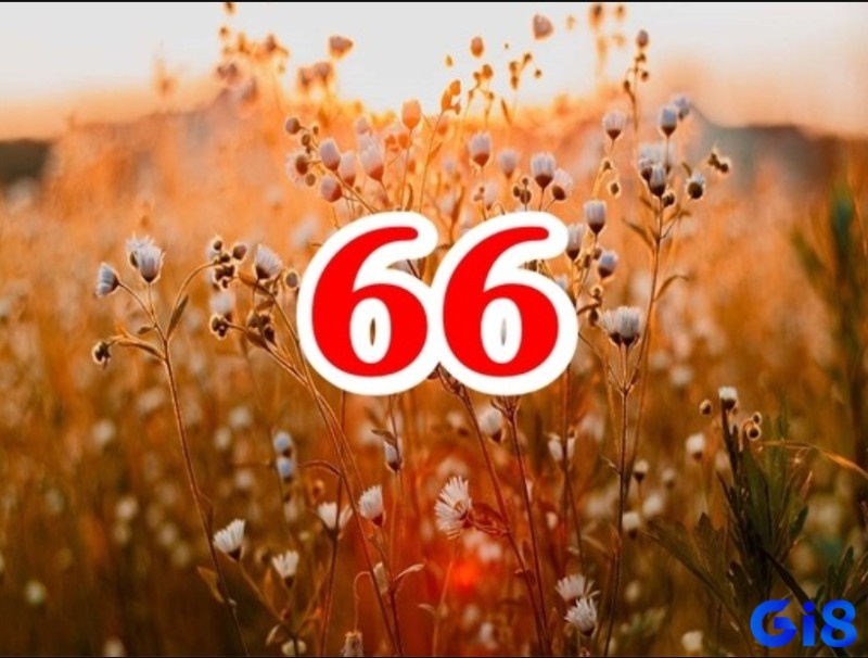 Lô 66 về đầu tuần thường kéo theo số kép; cuối tuần dễ xuất hiện số lẻ