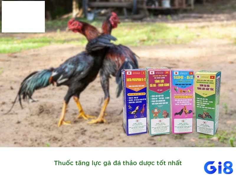 Ví dụ thực tế sử dụng thuốc tăng lực cho gà đá phù hợp đem lại hiệu quả cao