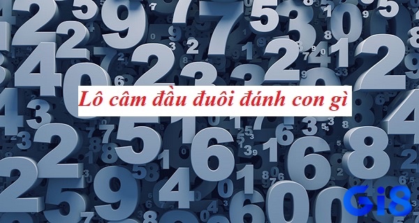 Cùng gi8 tìm hiểu về lô đầu 0 câm thì đánh con gì chuẩn cho người chơi mới