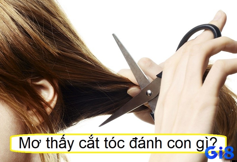 Mơ thấy cắt tóc số mấy, con gì tùy thuộc theo từng bối cảnh mơ