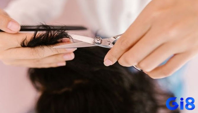Mơ thấy cắt tóc giúp đề thủ hốt bạc chiều nay