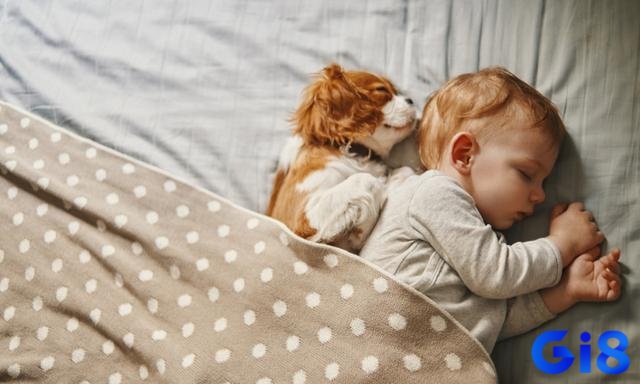 Giấc mơ thấy em bé số mấy tùy tình huống mang đến cho bạn nhiều con số may mắn khác nhau