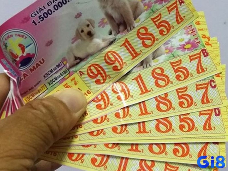 Giấc mơ thấy lượm được vé số trúng thể hiện cho tài lộc và khả năng tích lũy